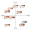 Tone-up Eyeshadow - Taupe Brown 6