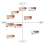 Tone Up Eyeshadow 02 Rose Brown 6