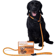 Slip Lead For Dogs - Rope Anti Pull Dog & Puppy Training Lead with Neck Padding - 1.8 Metre, One Size Fits All, No Collar Required