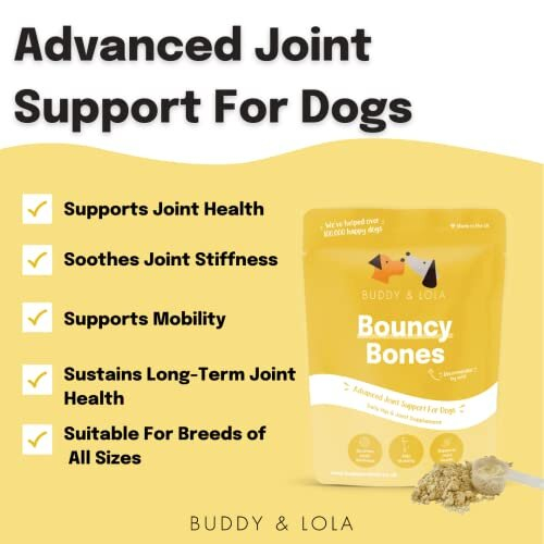 Joint Supplements For Dogs With Glucosamine, Chondroitin, Green Lipped