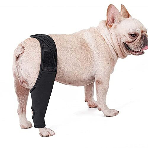 Dog Knee Brace, Pet Elbow Protector Neoprene Dog Front Back Leg Sleeve