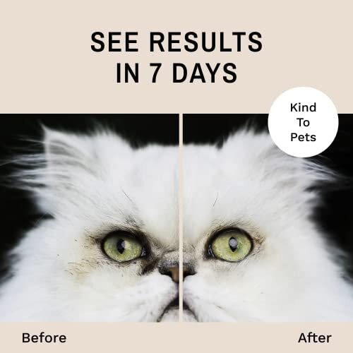 Tear Stain Remover Wipes for Cats 2
