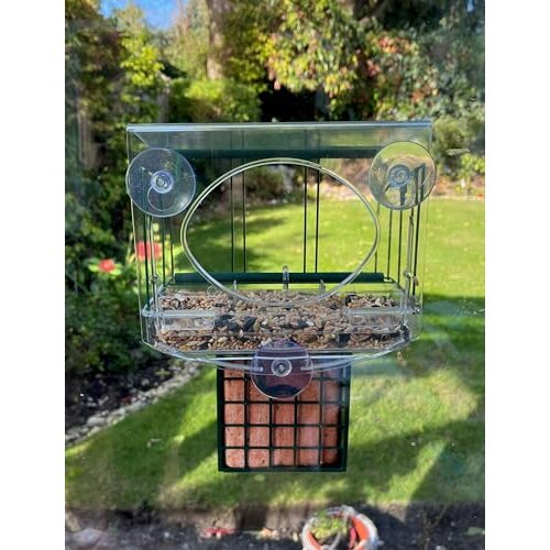 Meripac PIGEON-PROOF Window Feeder with Suet Block Holder