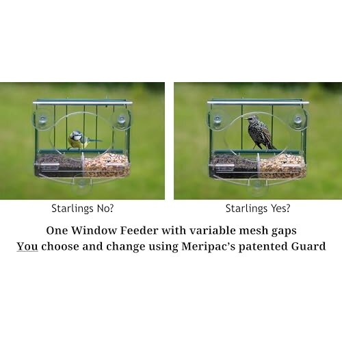 Meripac PIGEON-PROOF Window Feeder with Suet Block Holder 1