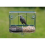 Meripac PIGEON-PROOF Window Feeder with Suet Block Holder 4