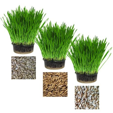 Pet Grass Variety Pack by Cat FurNature