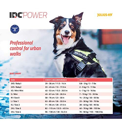 IDC Powerharness, Size: M/0, Dark Purple 1