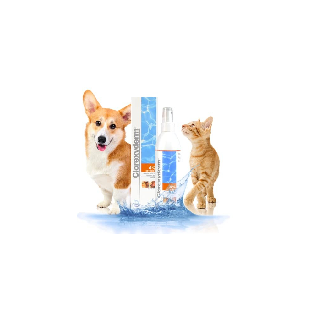 Clorexyderm 4% Antiseptic SPRAY for Dogs & Cats 200ml - Sent via Royal Mail - Image 2