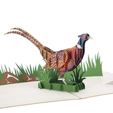 - Pheasant Shooting Pop Up Card | Birthday Cards, Father's Day Cards, Mother's Day Cards, Shooting Gifts For Men | Handmade