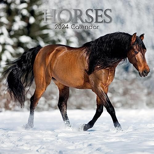 TGSC | Horses Wall Calendar 2024 | 16 Months | Monthly 2023 Calendar ...