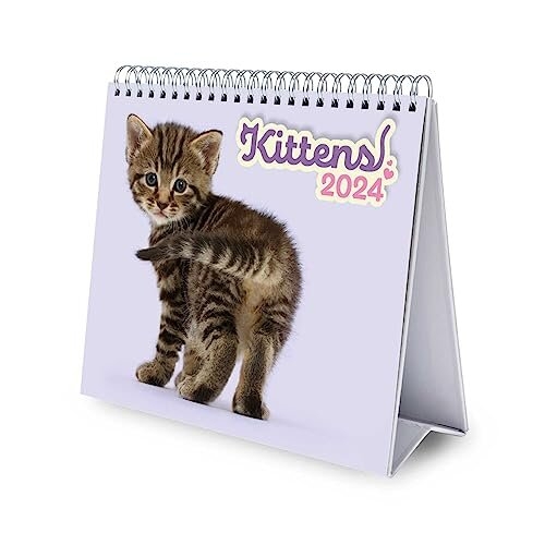 Cat Desk Calendar 2024 Desktop Calendar 2024 8 x 7 inches 20 x 17