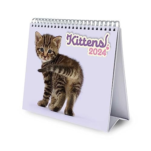 Cat Desk Calendar 2025 Desktop Calendar 2025 8 x 7 inches 20 x 17