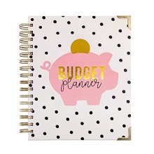 Pukka Pad, Carpe Diem Undated Budget Planner Notebook – Included 12 Months of Budget Planning Tools and Goals with 2 Sticker Sheets and Interior