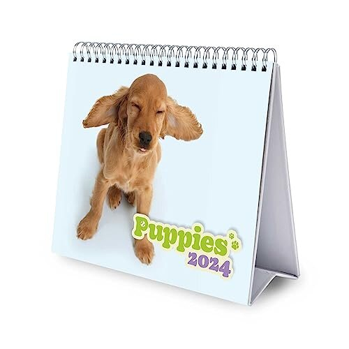 Dog Desk Calendar 2024 Desktop Calendar 2024 8 x 7 inches 20 x 17