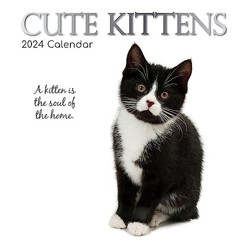 TGSC | Cute Kittens Wall Calendar 2024 | 16 Months | Monthly 2023 ...