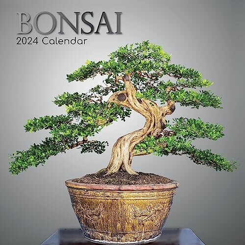 TGSC Bonsai Wall Calendar 2024 16 Months Monthly 2023 Calendar
