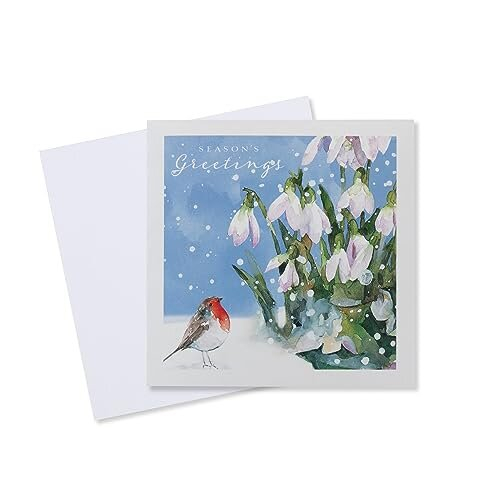 Macmillan Robins Charity Christmas cards - 20 pack 1