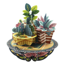 Pirouette, 3D Pop Up Greeting Card - Potted Plants - For Him, Her, Mum, Birthday, New Home, New Job, Thank You | Housewarming Gift For Men, Women