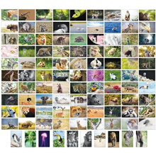 100 Animal Postcards with 100 Different Designs Postcards Animals (100 Photo Cards)