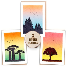 Tree Planting, Eco Friendly Cards Pack of 3 with Flower Seed Cards Inside. Blank Inside for Thank You, Birthday or Any Occasion | 100% Recycled &