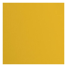 Florence Textured Cardstock Paper, Yellow Bee, 216 Grams, 12x12 inches, 20 Sheets, for Scrapbooking, Card Making, Die Cutting and Other Paper Crafts