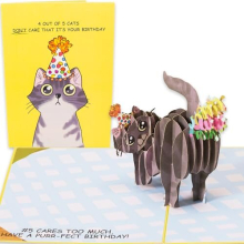 Dirty Pop Cards,Purr-fect Pop Up Birthday Card, 3D Cat Farting Confetti Funny Birthday Card, Cat Mom or Dad Bday Popup Cards for Husband, Wife, Friend