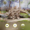 Stegosaurus - Ugears - Puzzle 3D en bois 2