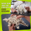 Stegosaurus - Ugears - Puzzle 3D en bois 3