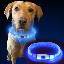 Dog Light Up Collar Flashing Dog Collar Dog Collar Light Rechargeable USB Dog Collar Light - Blue