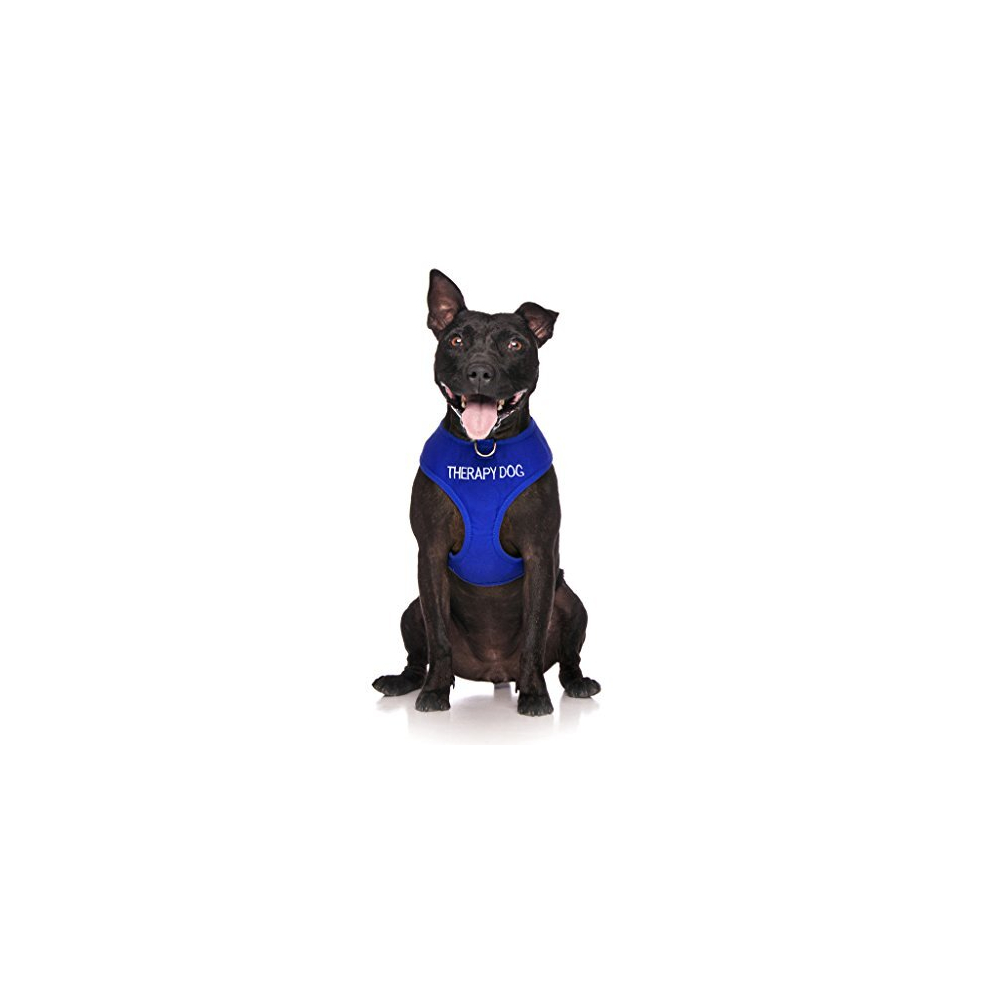 THERAPY DOG Blue Colour Coded Non-Pull Front and Back D Ring Padded and Waterproof Vest Dog Harness PREVENTS Accidents By Warning Others Of Your Dog