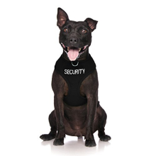 SECURITY Black Colour Coded Non-Pull Front and Back D Ring Padded and Waterproof Vest Dog Harness PREVENTS Accidents By Warning Others Of Your Dog In
