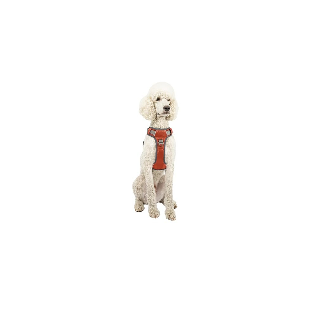 Adventure Dog Harness, No Pull Dog Harness with 2 Leash Clips, Dog Harness Medium Anti Pull Dog Harness Front & Back with Control Handle, Adjustable,