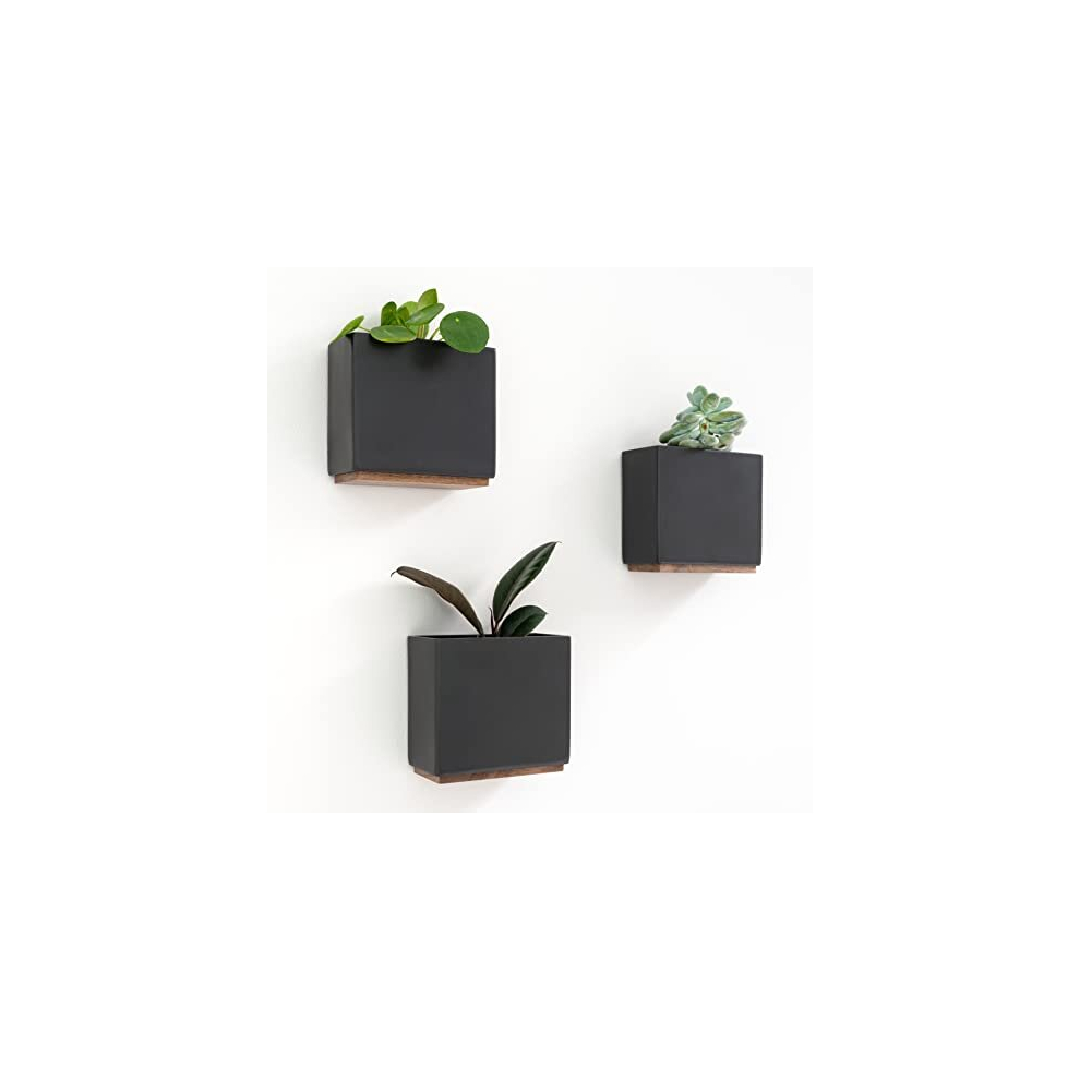 Wall Planters -Alma- | 3 Resin Plant Holders for Modern Hanging Plant Display | Wall Planter Set for Indoor Plants, Artificial Plants and more | Black
