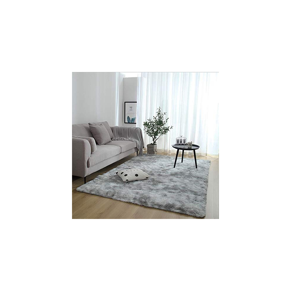 Area Rugs Fluffy Rugs Shaggy Area Rug Plush Carpet Home Decor Rug Large Soft Gradient Tie-Dye Rugs Comfortable Floor Mat for Living Room, Bedroom,