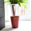 Umbra Woodrow Waste Bin, Red 2
