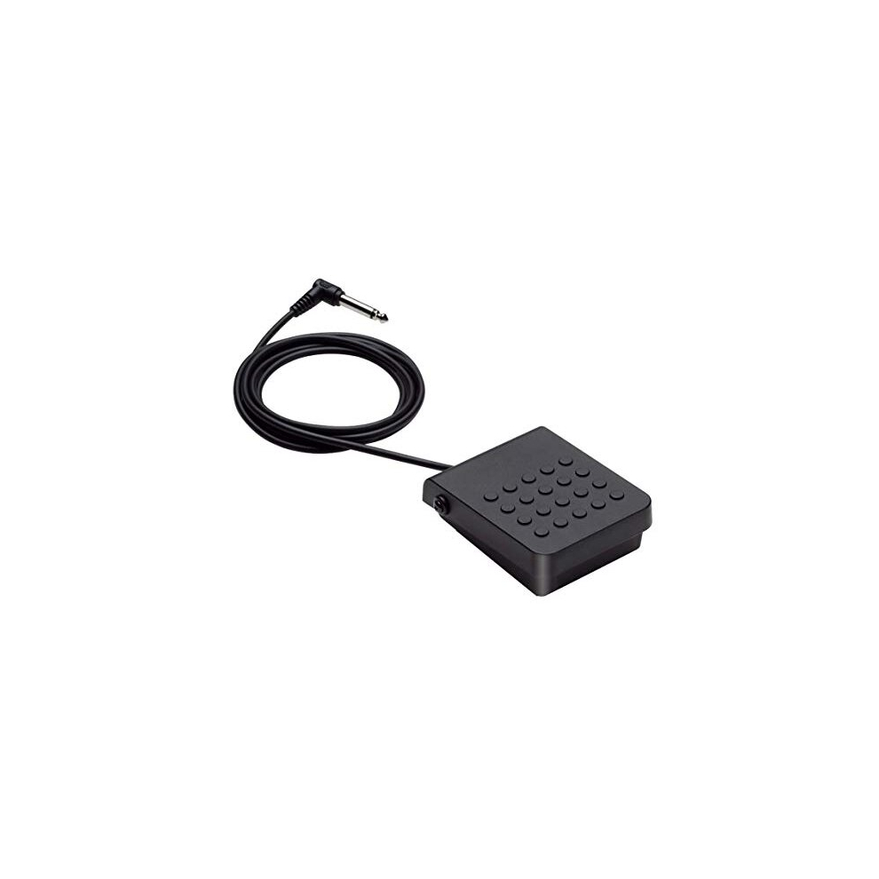 Casio Sp-3 - Sustain Pedal Compatible With All Keyboards And Digital Pianos With A Pedal Jack