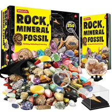 Rock Fossil Mineral Collection Activity Kit Includes 250+ Real Specimens Ultimate Display Case Fossils Gems Rocks Genuine Minerals for Kids Great