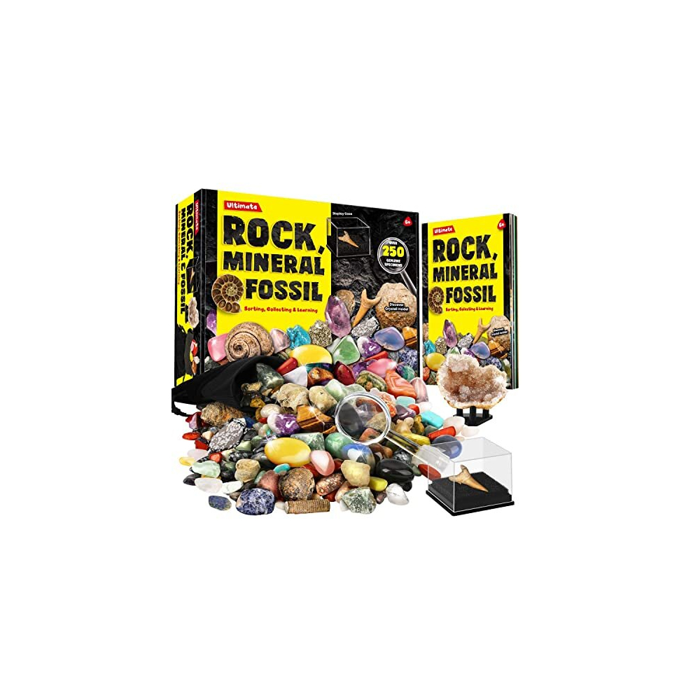 Dr. Daz Rock Fossil Mineral Collection Activity Kit Includes 250+ Real Specimens Ultimate Display Case Fossils Gems Rocks Genuine Minerals For Kids Great