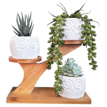 3 Pack Owl Succulent Ceramic Plant Pots for Home Office Desk (With Wooden Stand), Succulent Combination Potted Flower Pot, Succulent Ceramic Pot