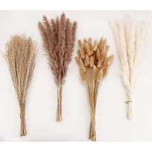 Dried Pampas Grass Decoration, 100 Pieces of Pampas Grass with Bunny Tails Dried Flowers, Reed Grass Bouquet for Wedding Boho Flowers and Home Table