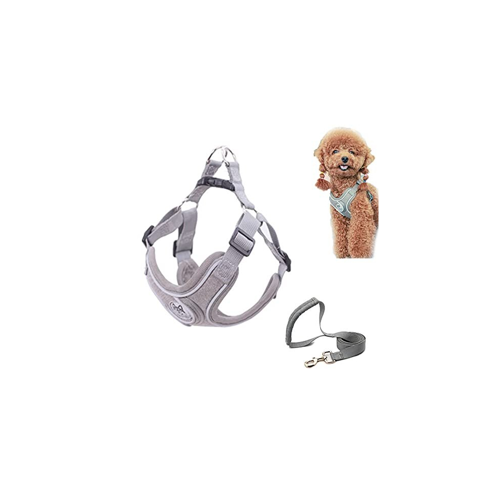 Dog Harness Small Dog No Pull Dog Harness and Lead Set Adjustable Breathable Reflective Lightweight Pet Vest Harness Escape Proof Dog Harness Easy