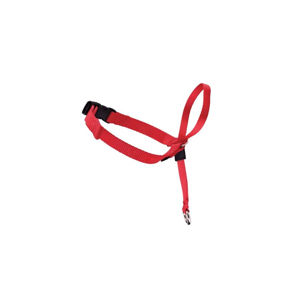 Easy Walk Head Collar