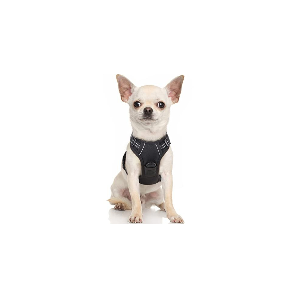 Dog Harness Small Dog No Pull Pet Harness with 2 Leash Clips, Adjustable Soft Padded Pet Vest Harness, Reflective No-Choke with Easy Control Handle