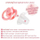 Generation-II Pacifier 3 Paci Pack-Pink/Blue/Lavender 2