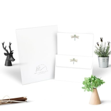 Dragonfly Letter Writing Papers with Envelopes A5 Size Stationery Paper Writing Supplies for School Home & Office | Christmas Gifts (10 Letters and 10