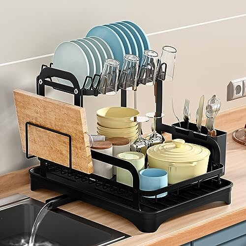 2 Tier Dish Drying Rack, Black Dish Drainer with Drainage Tray, Sink