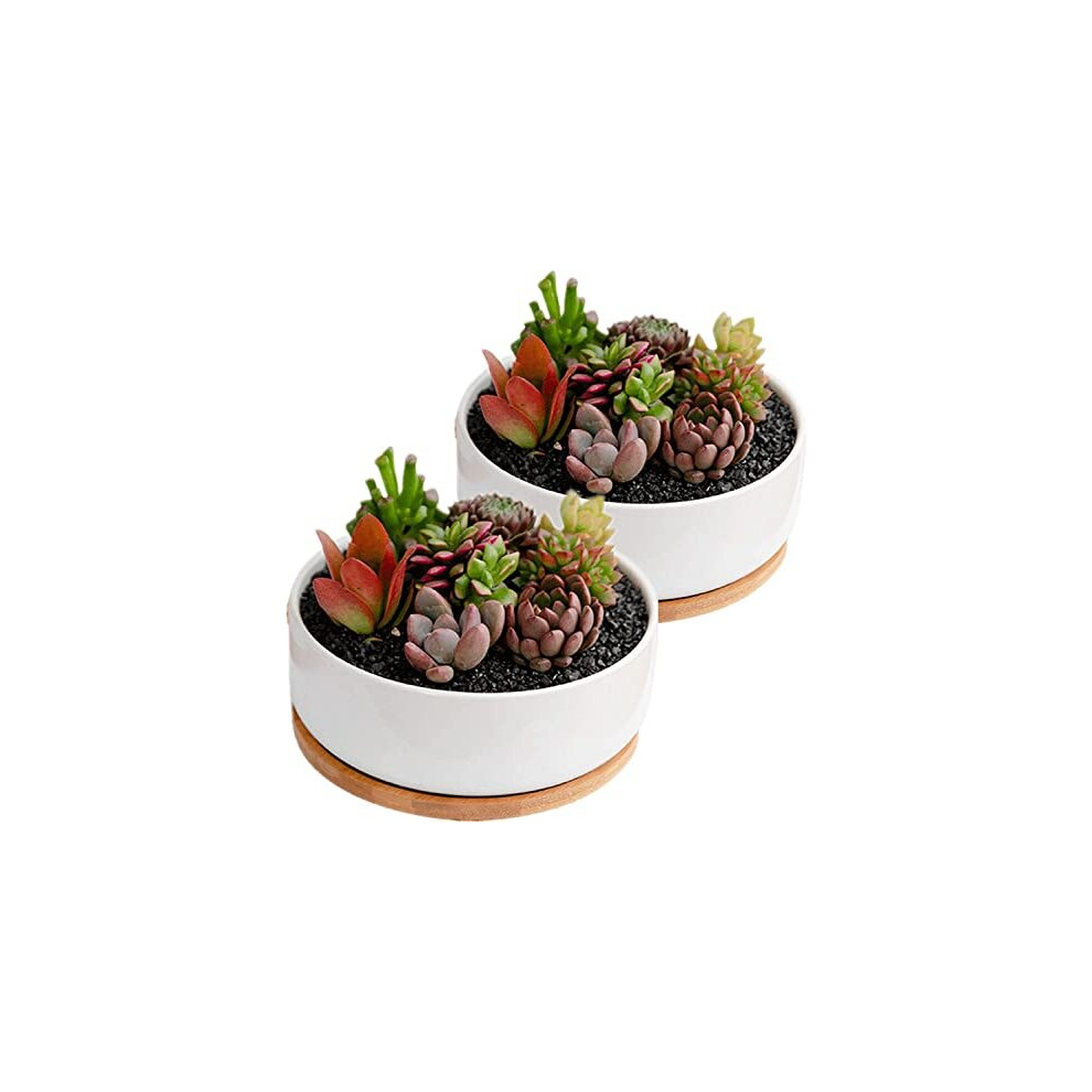 Plant Flower Pots Indoor, 2-pack Set Ceramic Flower Pots Planter, white Ceramic Plant Pot Small Round Plant Pots for Home Office Decoration