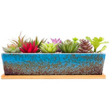 30cm Ceramic Succulent Plant Pots, Modern Long Rectangle Flower Plant Containers with Tray, Shallow Cactus Bonsai Window Box with Drainage for