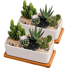 White Ceramic Plant Pots Indoor, Succulent Plant Pot Small Plant Pots for Home Office Decoration(rectangular-set of 2)