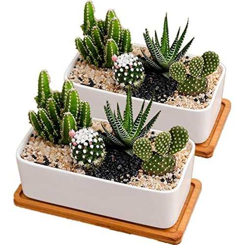 White Ceramic Plant Pots Indoor, Succulent Plant Pot Small Plant Pots for Home Office Decoration(rectangular-set of 2)
